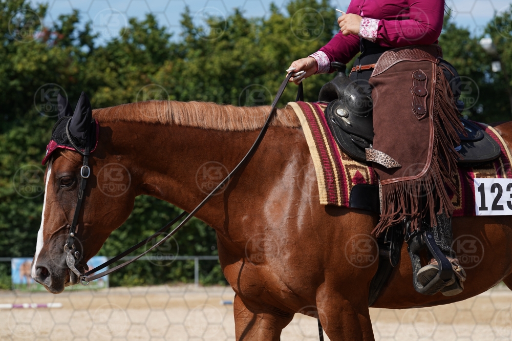 s_A9_08738.jpg